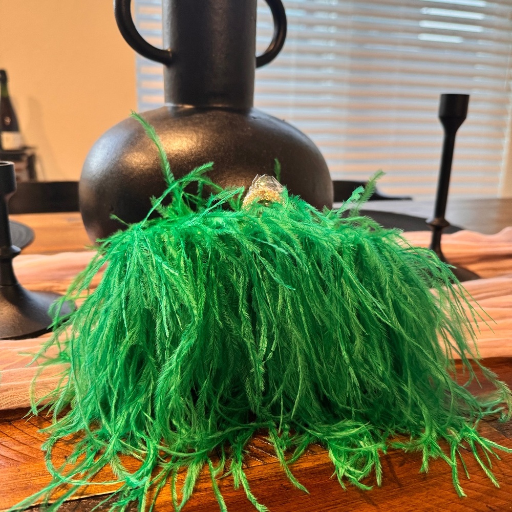 Woman’s Ostrich Feather Clutch